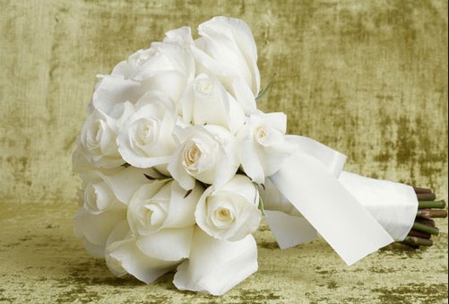 Tặng em hoa hồng trắng
